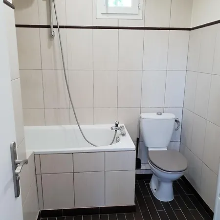 Maison A Les Moulineaux, Proche De Paris איסי-לה-מולינו